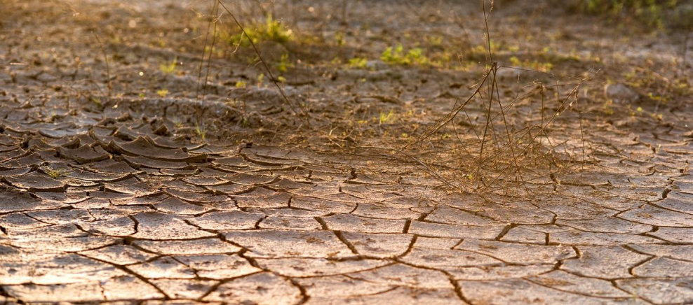 In the Era of Climate Crisis, An Unforeseen Disaster Called Flash Drought