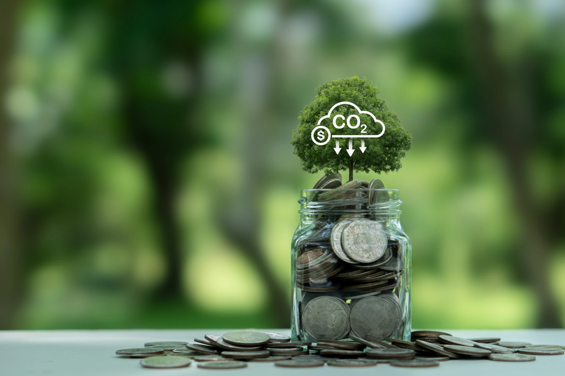 Carbon Contract for Difference (CCfD): A First Step for Domestic Discussions