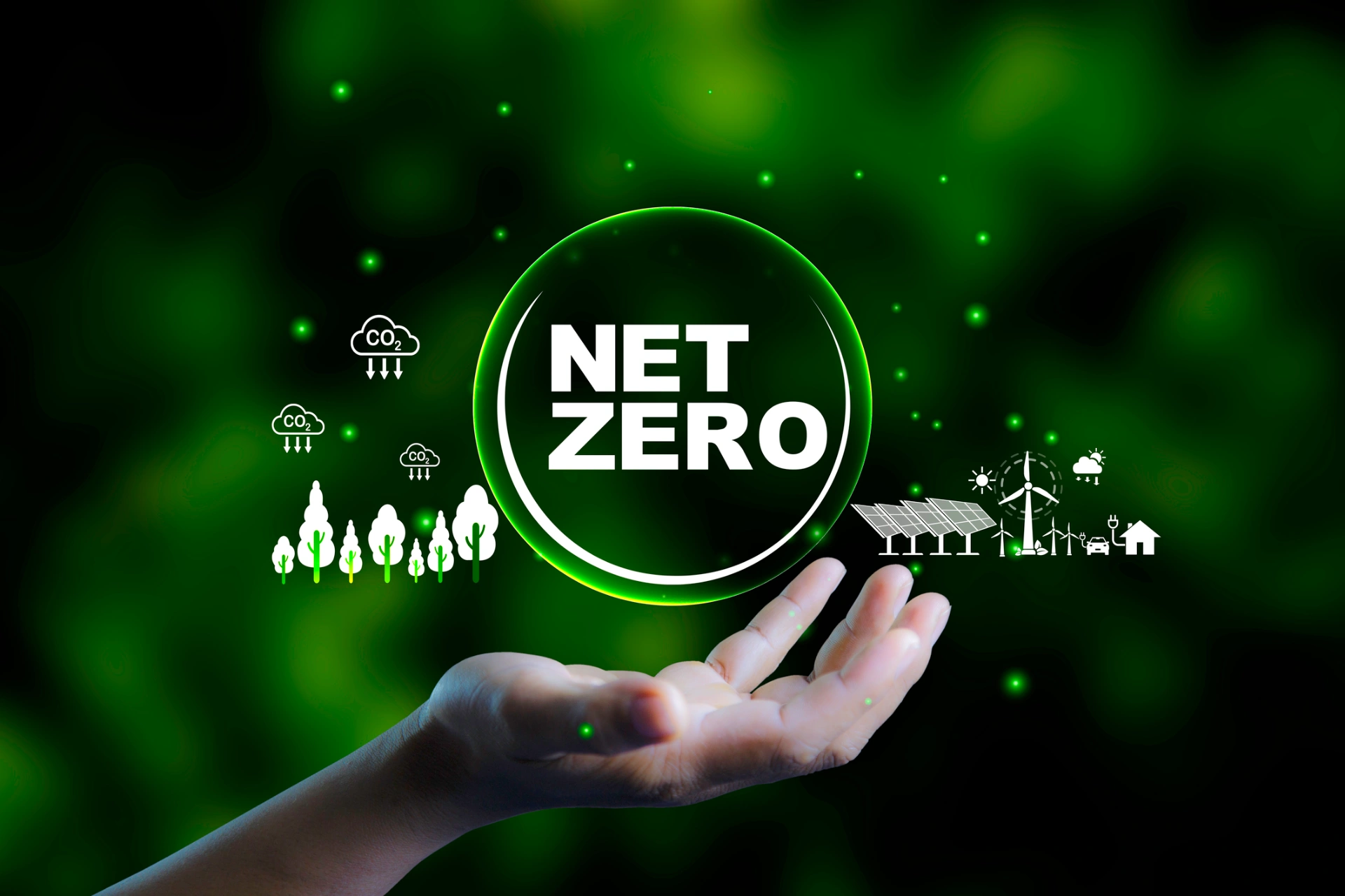 [Opinion] Fake Net-Zero, Fake ESG - Greenwashing Alert