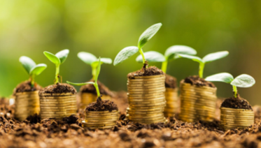 Green Bonds? Ask Us Anything